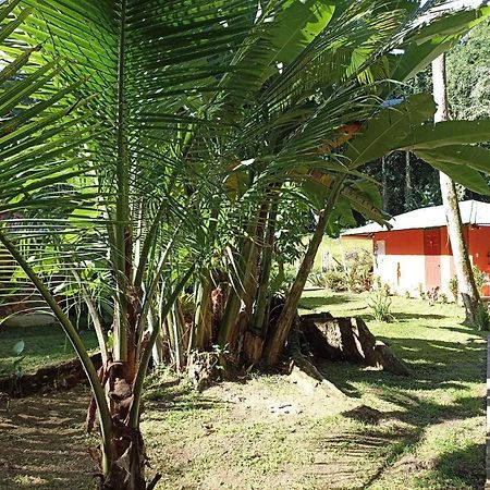 Finca Valeria Treehouses Glamping Cocles Eksteriør billede