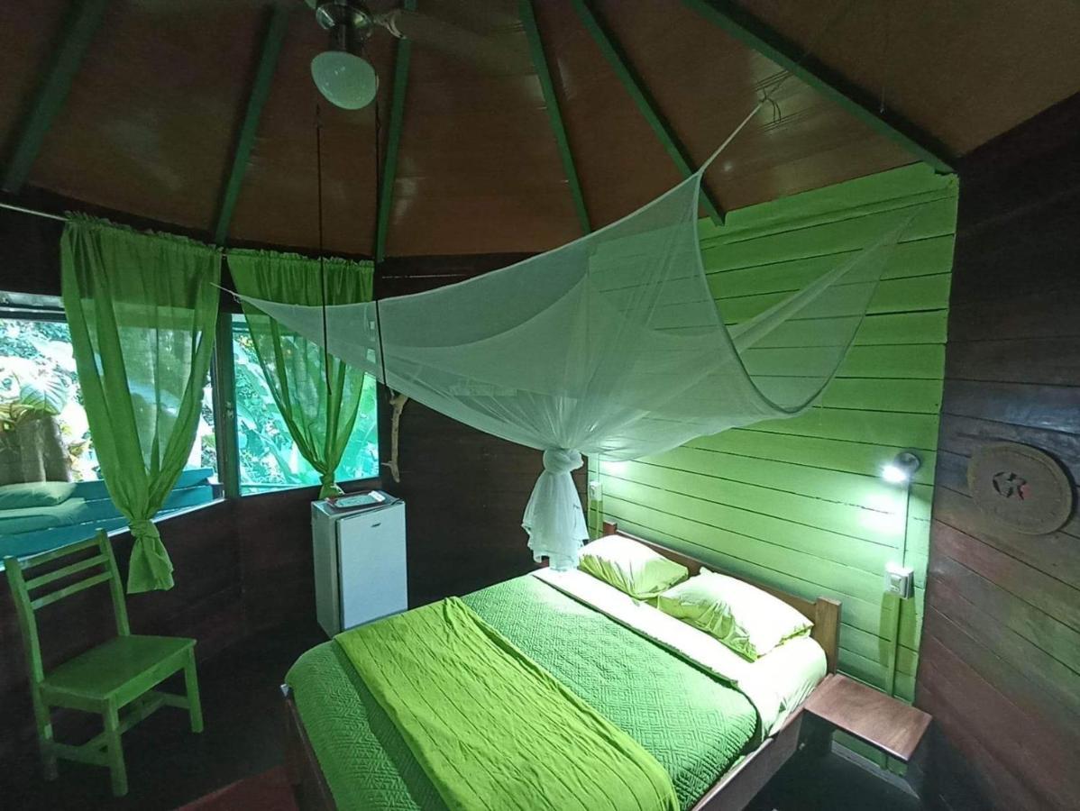 Finca Valeria Treehouses Glamping Cocles Eksteriør billede