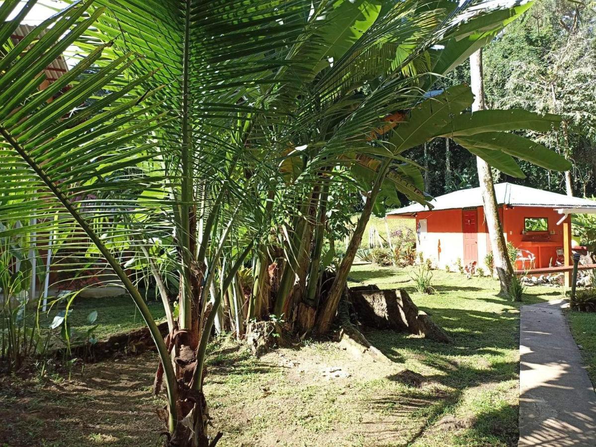 Finca Valeria Treehouses Glamping Cocles Eksteriør billede